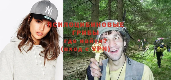 jwh Белокуриха
